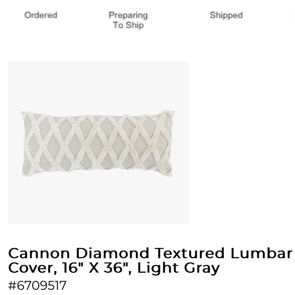 Pottery Barn lumbar pillow cover